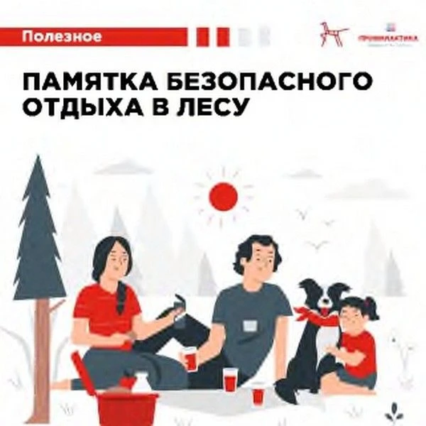 Если заблудился в лесу
