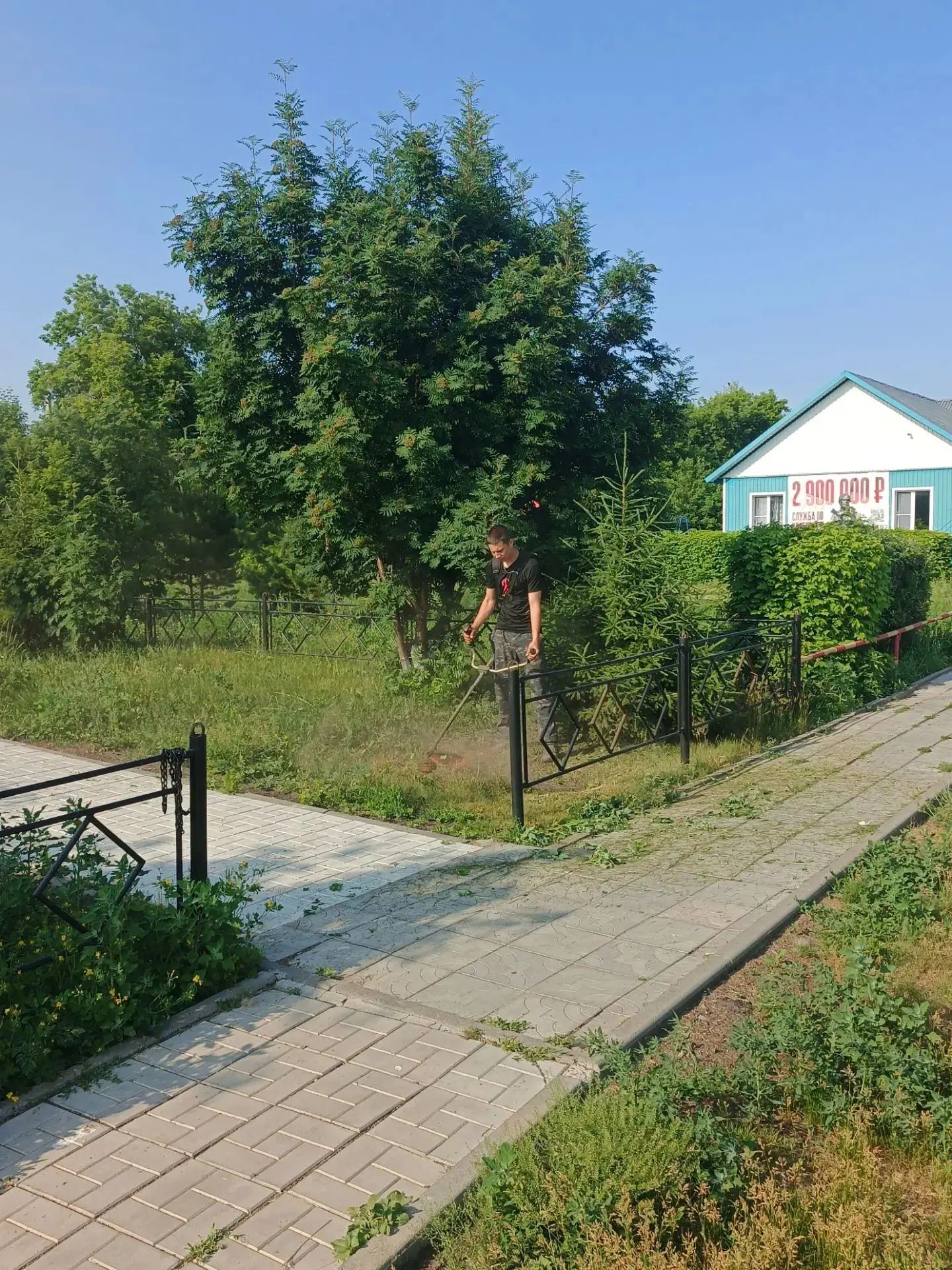 Вместе — ради памяти! 🤝

В преддверии Дня памяти и скорби методист Елина М. С. объединила усилия с 