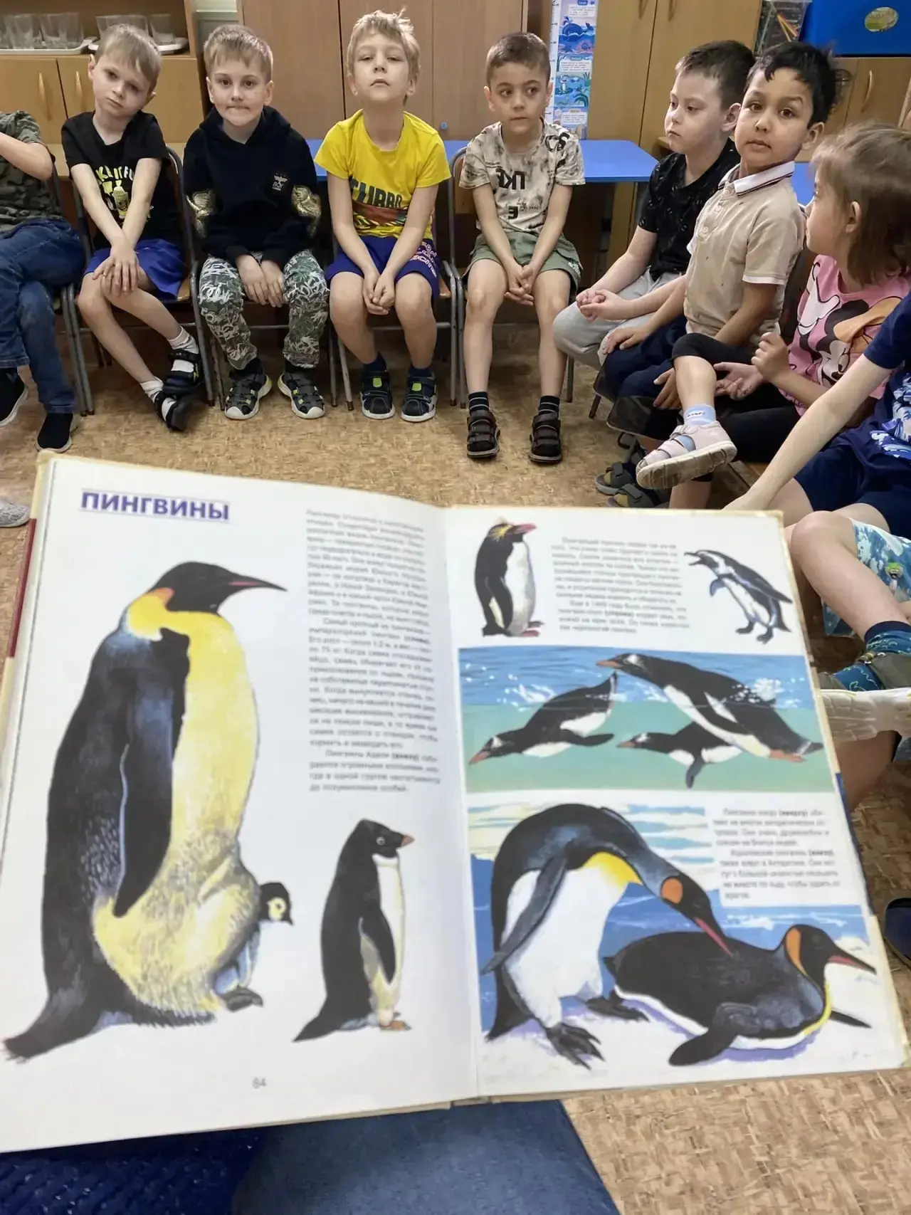 🐧 Пингвины в гостях у 16-й группы!
На этой неделе наши ребята из 16-й группы отправились в настояще
