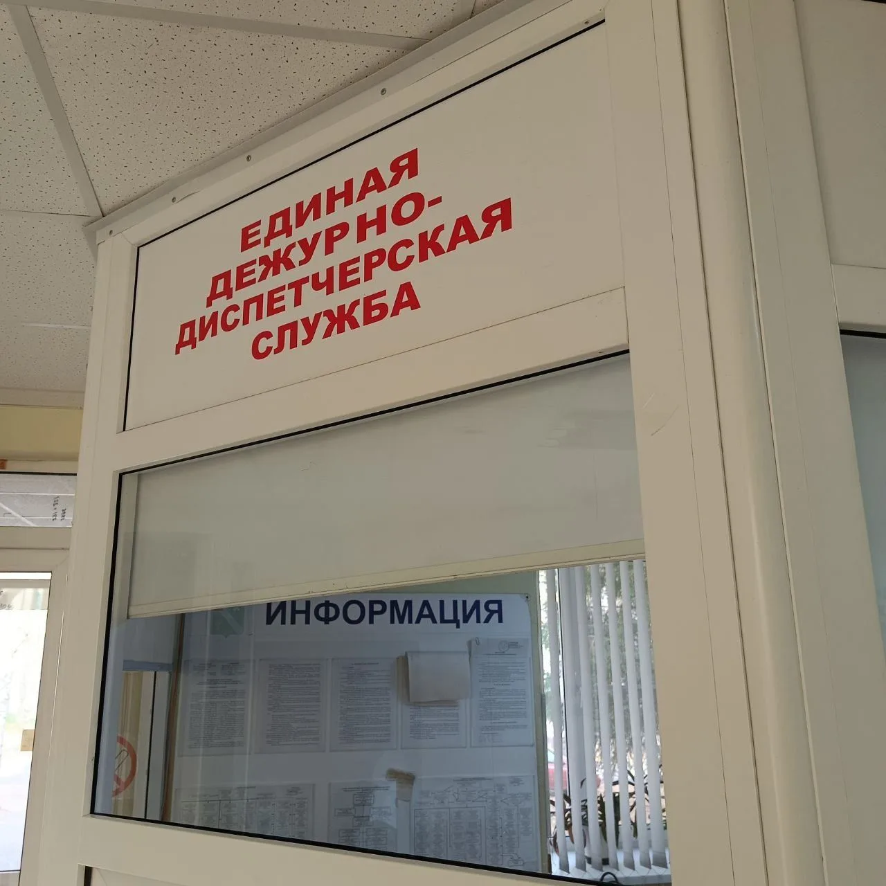 💡 Жители Тарногского округа, помните: помощь рядом!

Действует «Горячая линия» администрации округа