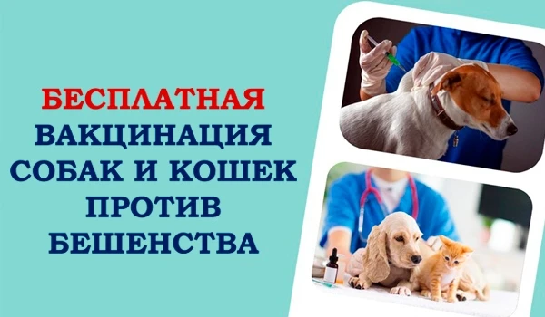 С 15 по 31 января 2026 г ГБУ Белокатайская райветстанция РБ проводит АКЦИЮ! Приведи своего питомца (