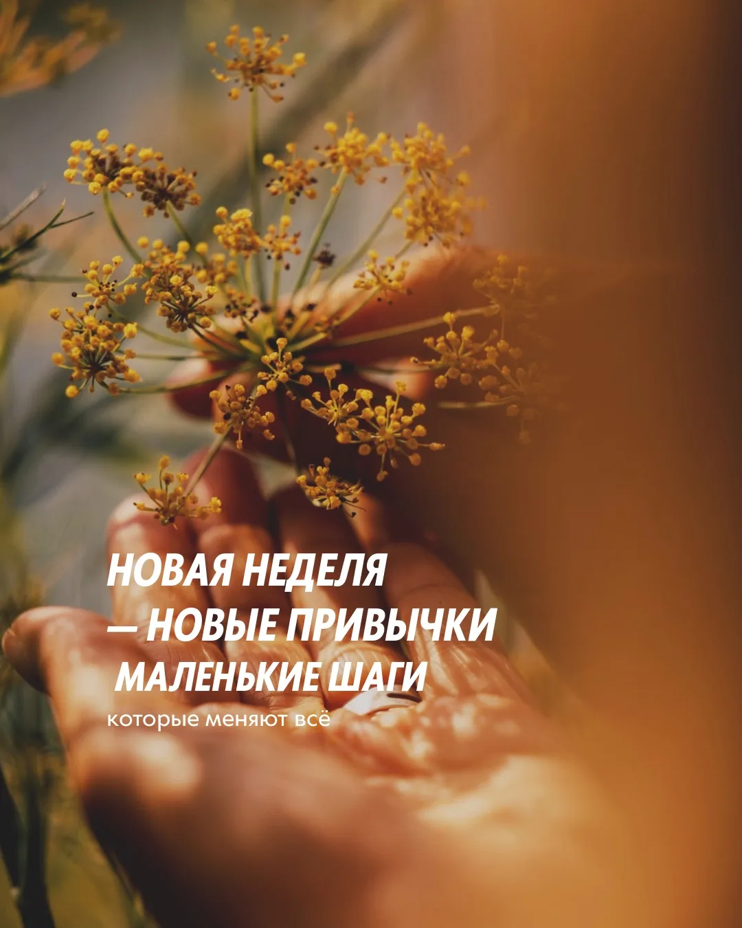 Всем доброго понедельника ☀️ 

Новая неделя — новый повод внедрить что-то новое в свою жизнь 🌿

Сег