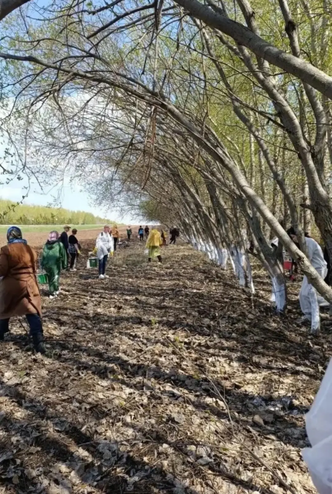 В рамках реализации национального проекта «Экологическое благополучие» сотрудники ГАПОУ «Тетюшский с