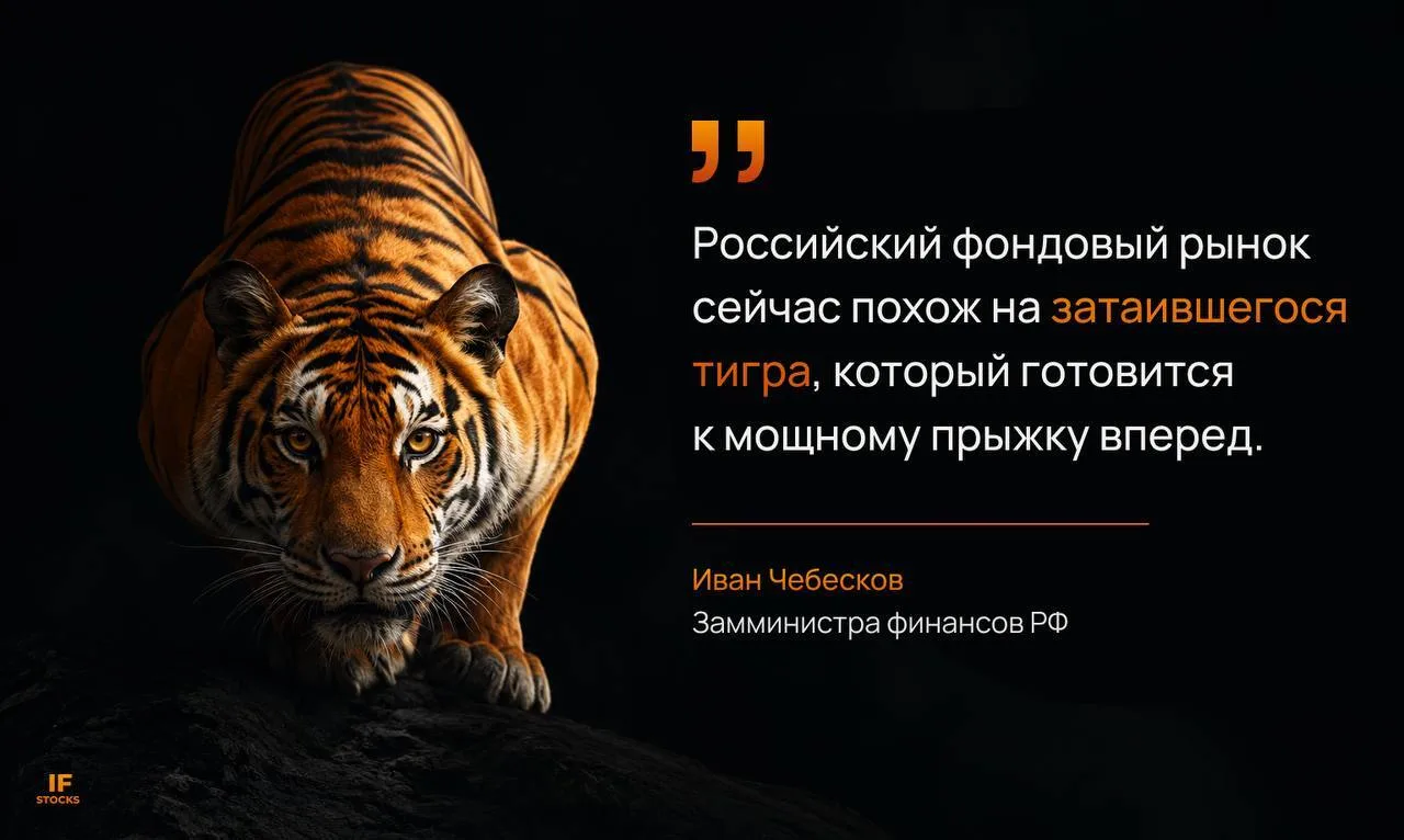 🐯Индекс Мосбиржи у 2500. Где тот самый “прыжок тигра”?

После ПМЭФ российский рынок снова ушёл вниз