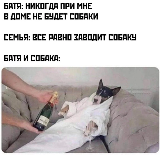 МЕМЫ в МАХ