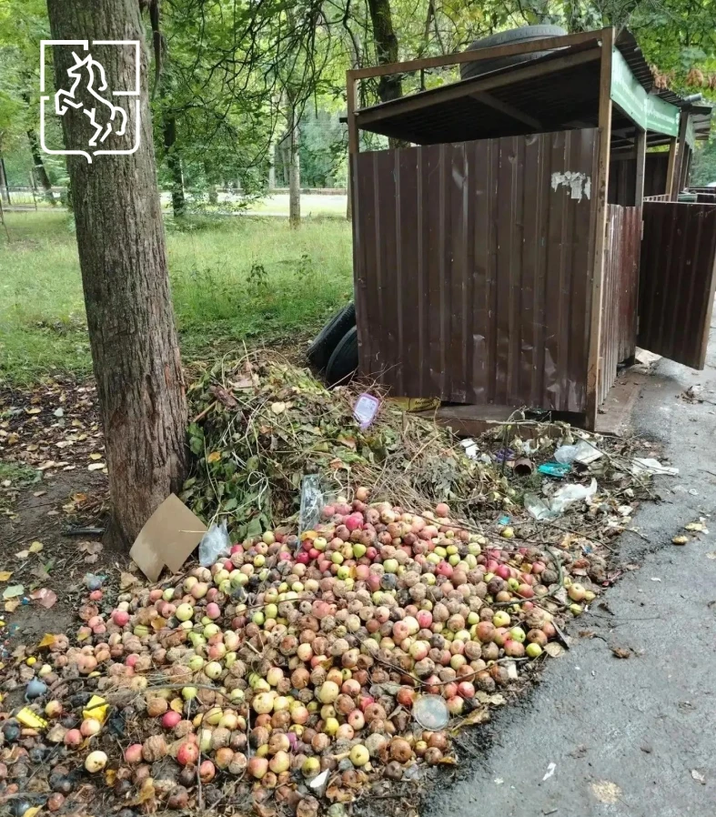😐 Улица Островского, район дома 47. Кто-то решил, что контейнерная площадка — подходящее место для 