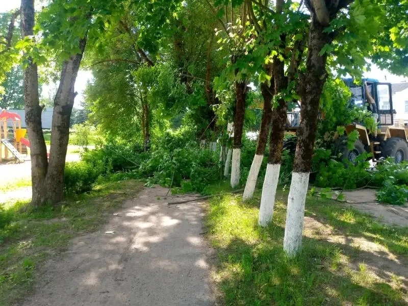 Новый облик Центральной площади в Красногородске🌳✨ 

В рабочем поселке Красногородск ведутся работы