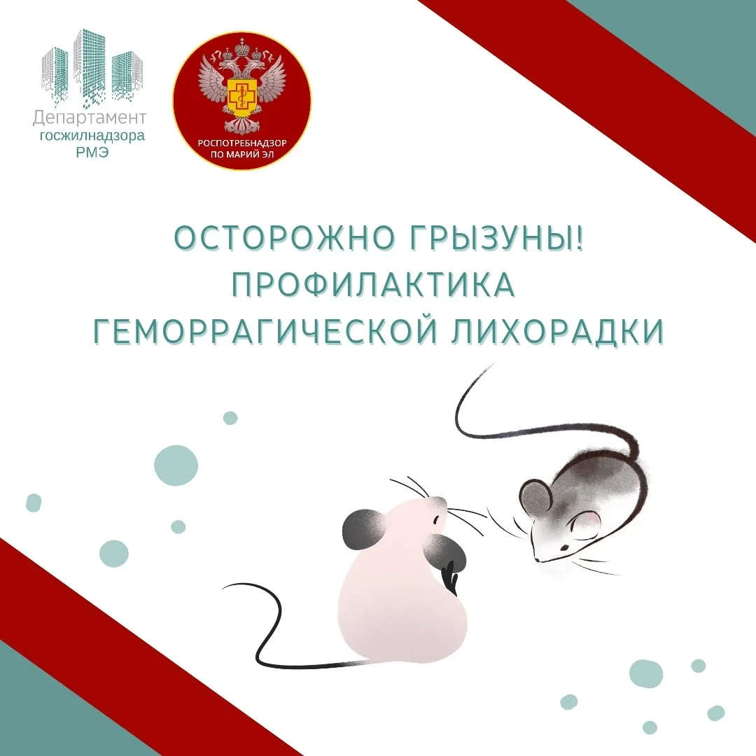 🐭 Грызуны - не просто неприятное соседство, а реальная угроза здоровью. Они являются переносчиками 