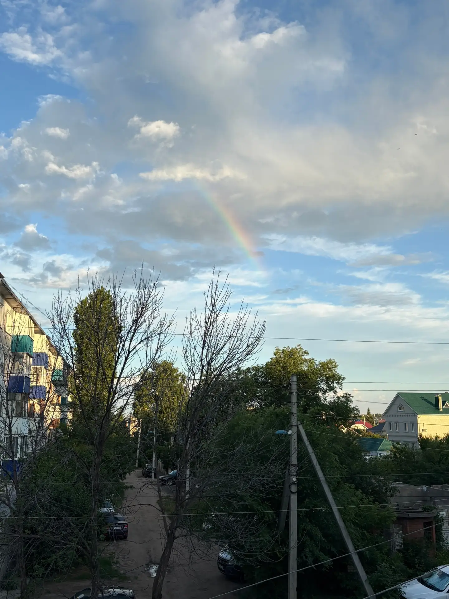 Летний Балаково глазами нашей читательницы! 📸

В нашем городе лето особенно прекрасно, когда на нег