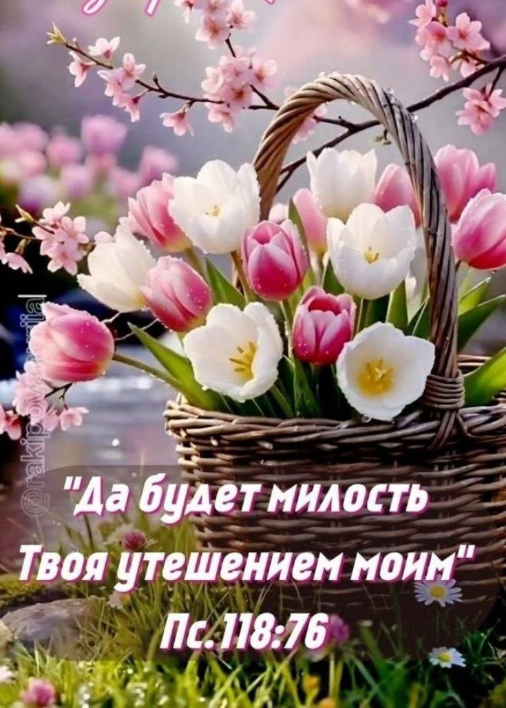 🐑🔸🐑🔸🐑🔸🐑🔸🐑🔸🐑

Советы преподобного Паисия Святогорца о том, как победить беспокойство.

⚜Ко