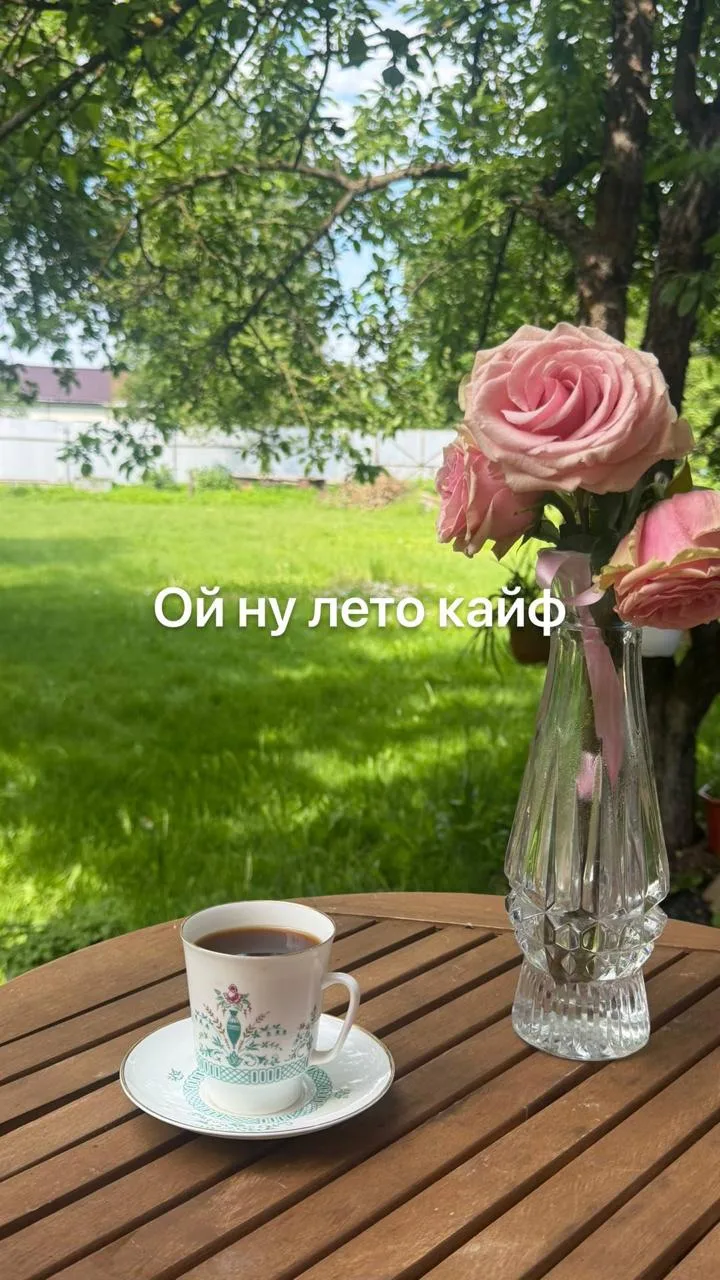 В СНТ меняются правила игры

В Росреестре появилась крутая новость: оформление общего имущества в СН