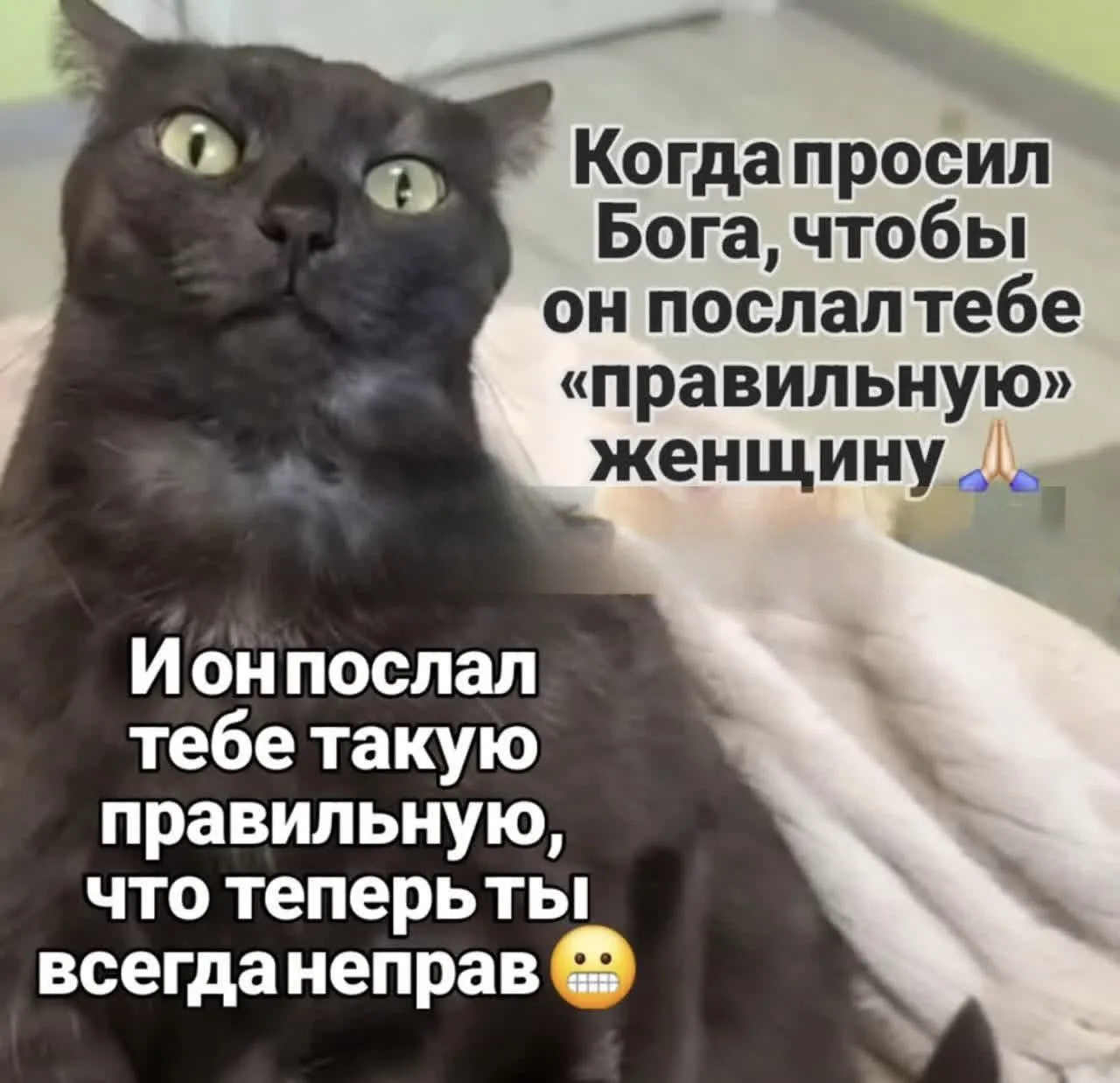 Осторожнее со своими желаниями 😁

👉Ох, Девоньки! Подписаться