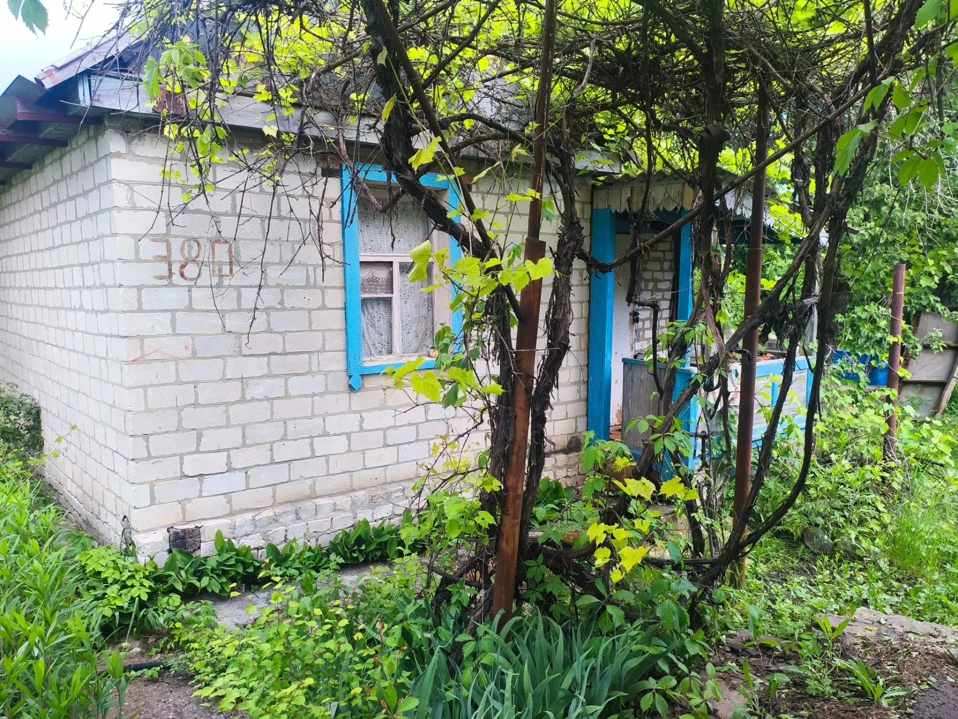 Продаётся дача 6 соток цена в лс  звонить:+7995421295