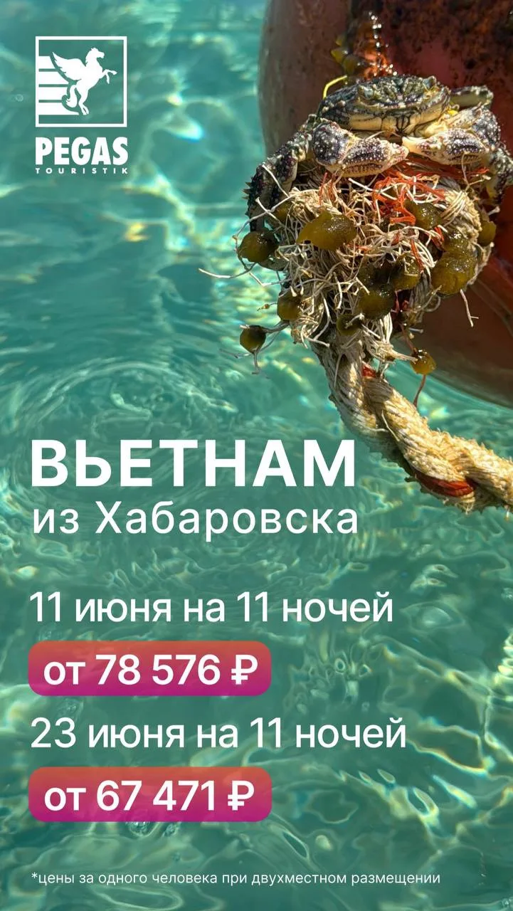 Прямые рейсы из Хабаровска в Нячанг 😍

Сбежать под солнце тут 💗

👀 мест на 11 июня почти нет, усп