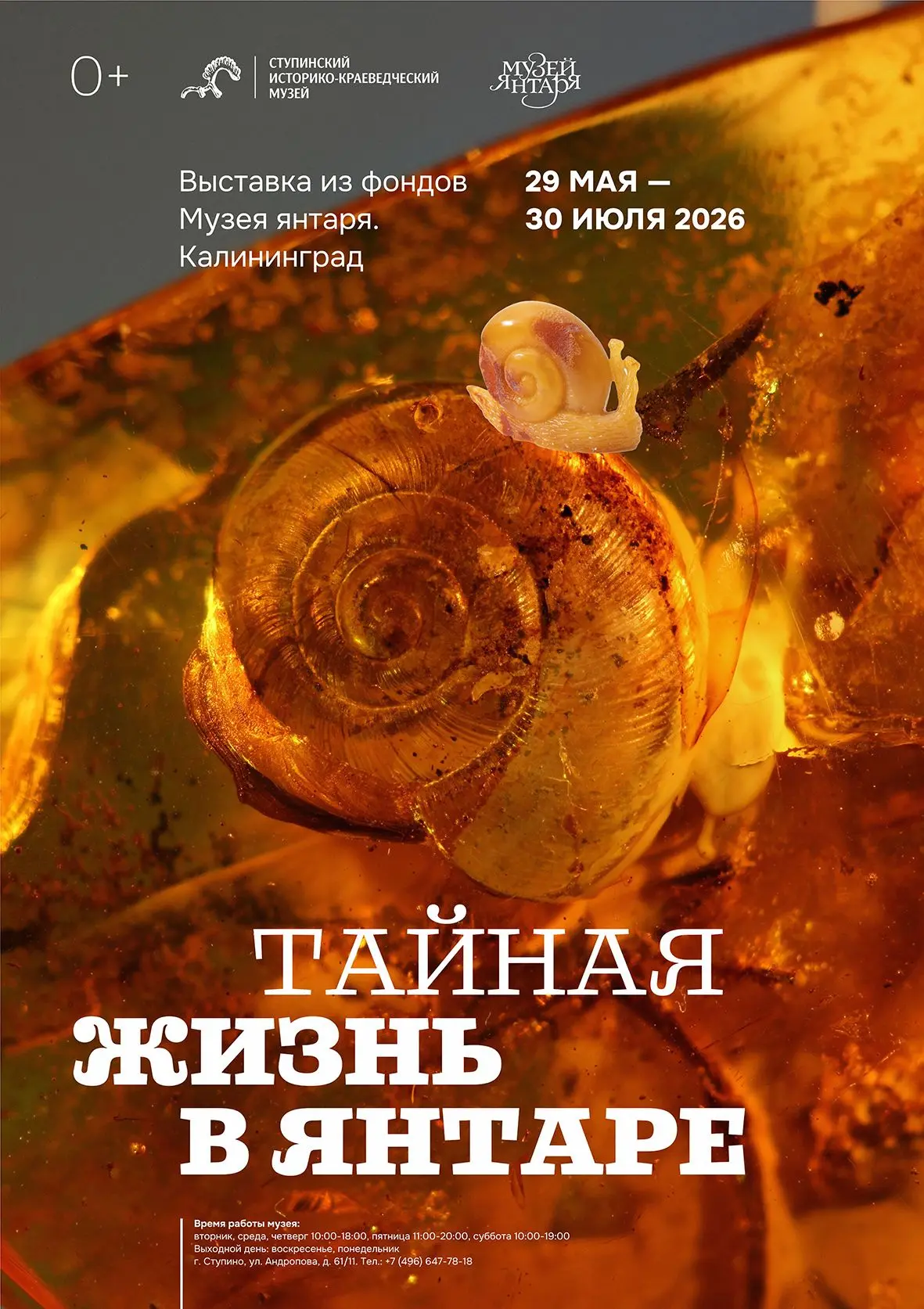 Друзья, сегодня 29 мая в нашем музее открытие новой выставки «Тайная жизнь в янтаре» из фондов Калин
