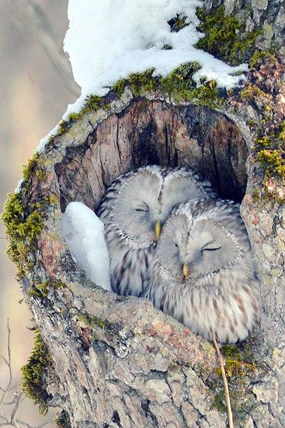 Мы живем на чудесной планете.
Согласны? ❤