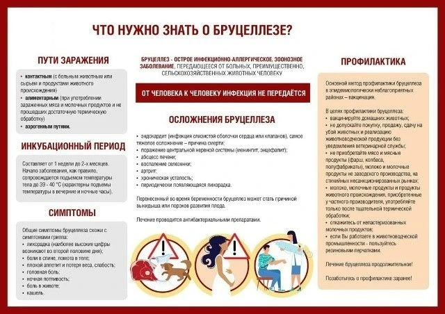 БРУЦЕЛЛЕЗ - ЭТО ОПАСНО!
 
 Бруцеллез – хронически протекающая болезнь животных и человека, вызываема