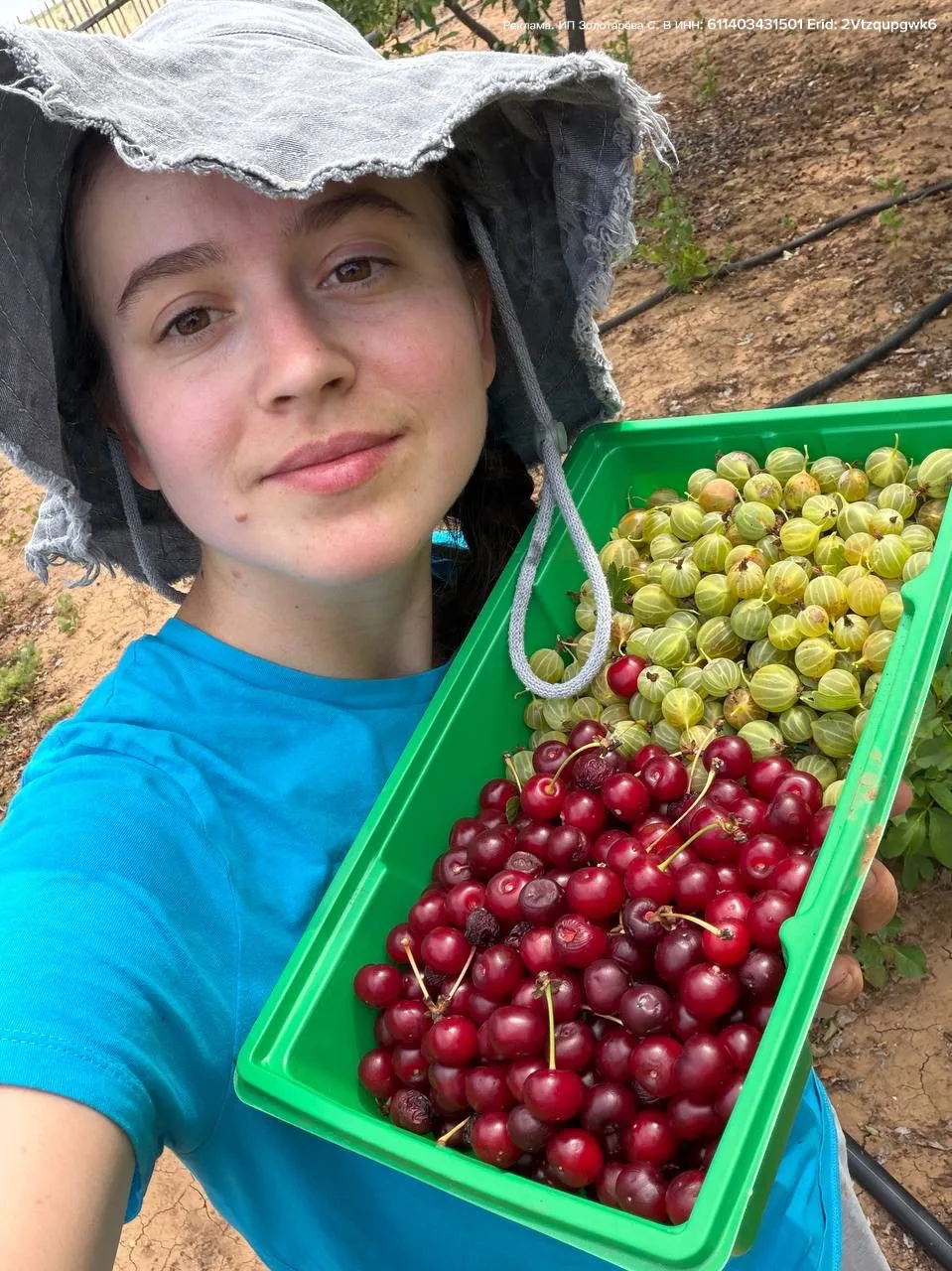 Как перестать "пахать" на грядках все лето и начать наслаждаться вкусным, здоровым урожаем 

Большин