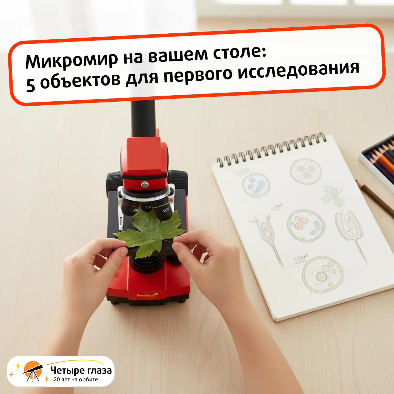 Микромир на вашем столе: 5 объектов для первого исследования

Микроскоп — это способ увидеть привычн