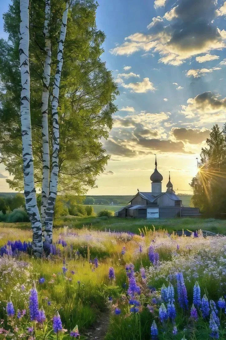 Экскурсионный ж/д тур по Золотому кольцу России ✨

Это путешествие сквозь века: древние монастыри, к