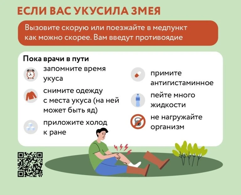 Правила оказания доврачебной помощи при укусе змей и насекомых

Детская неотложная доврачебная помощ