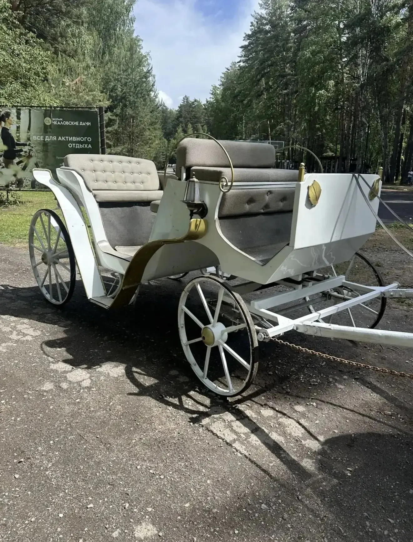 У нас несколько разных красивых карет 😘