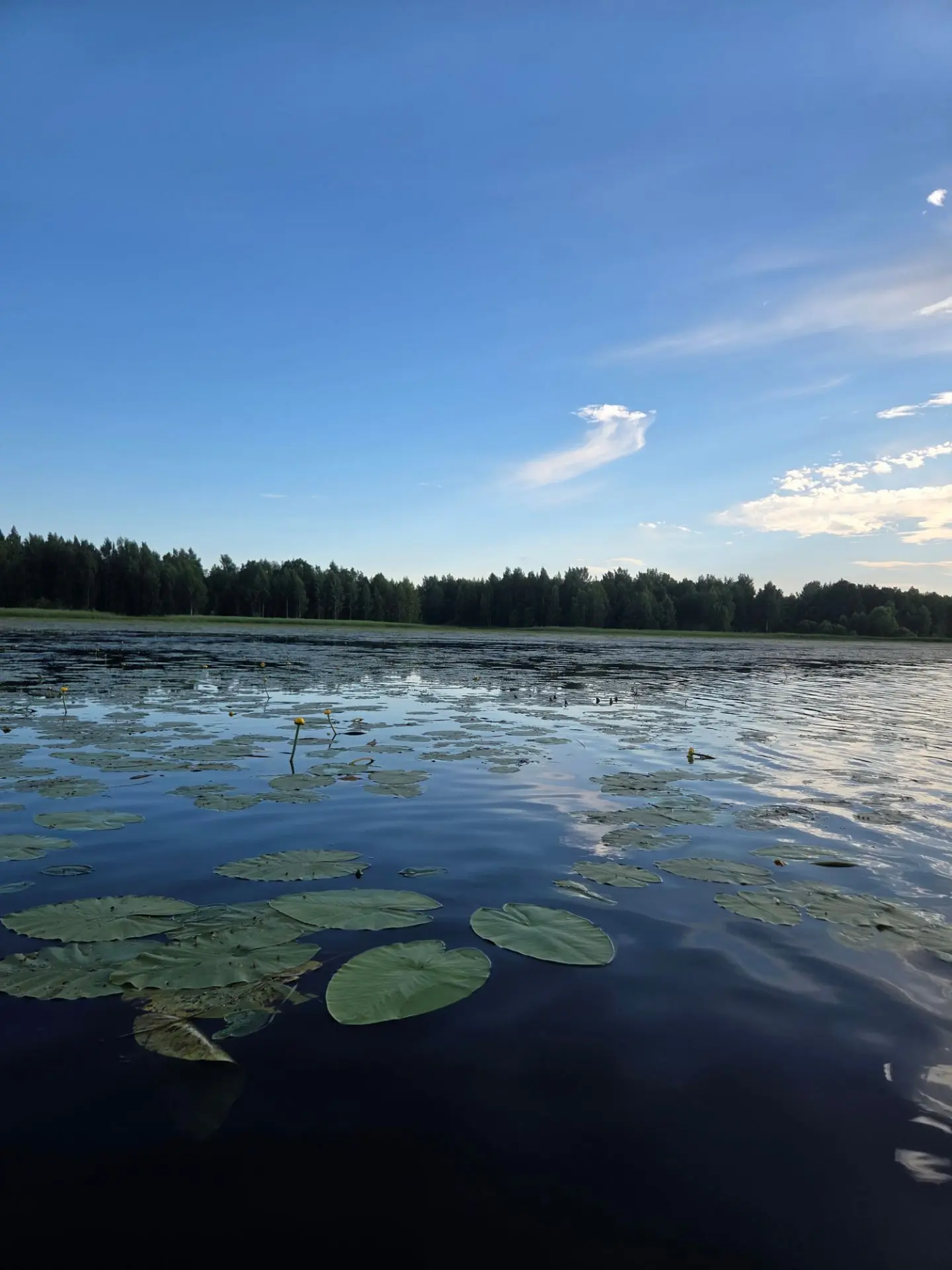 Когда мне грустно, я нахожу утешение у природы. Приходит осознание, понимание и принятие ситуации. В