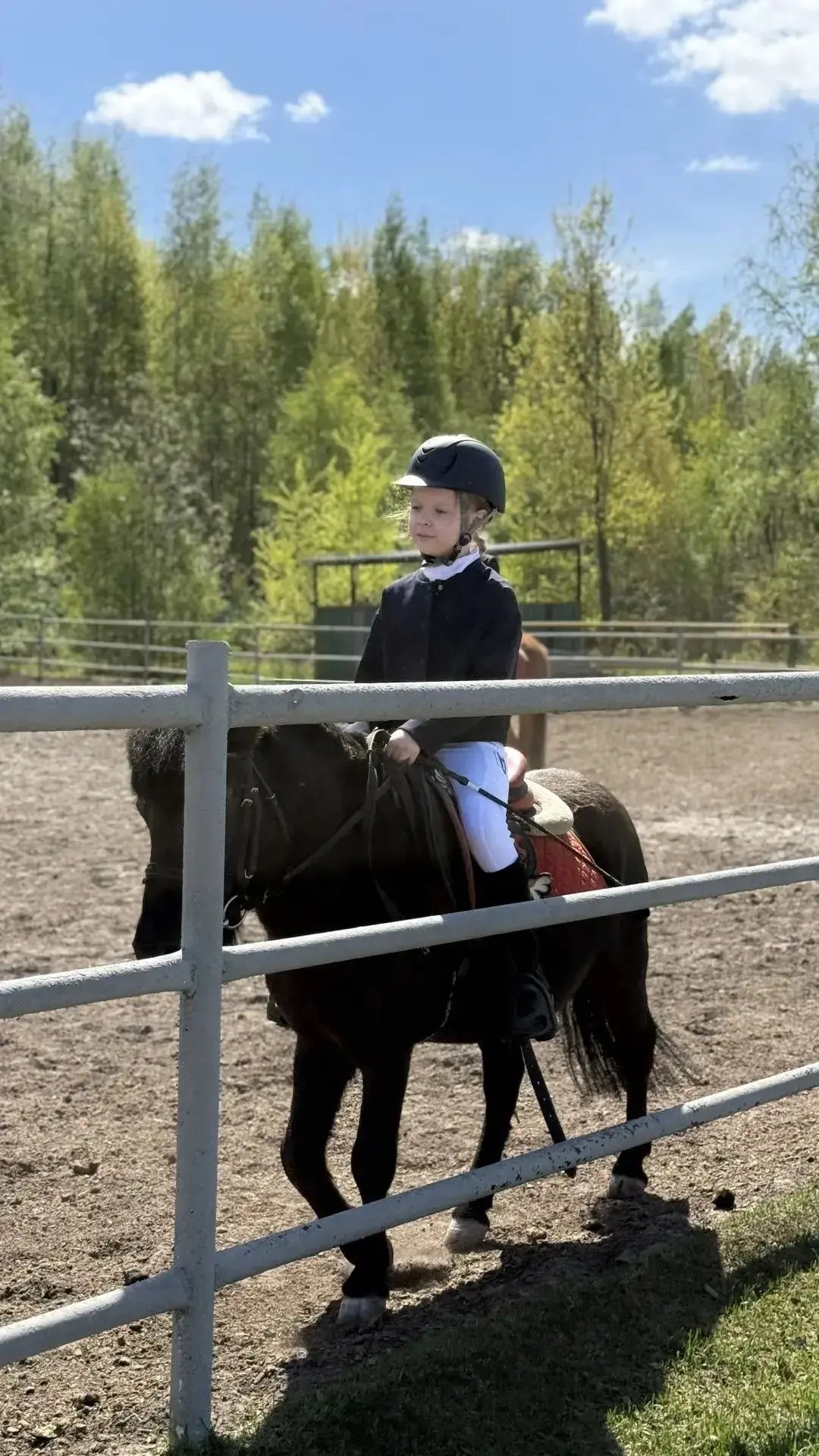 Дебют с победой! 🐴Поздравляем нашу гимназистку Валерию Советникову с успешным стартом в конных соре