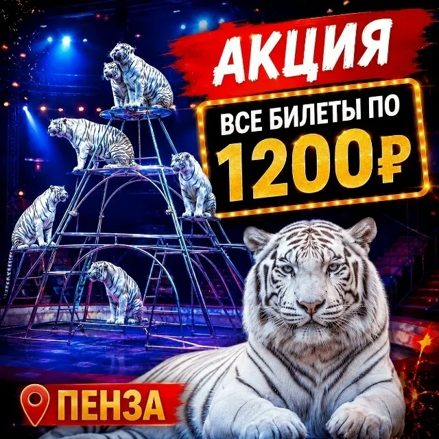 Пенза! 😍Не упустите возможность, запланировать семейный поход в 🎪 Цирк на шоу "Королевство белых т