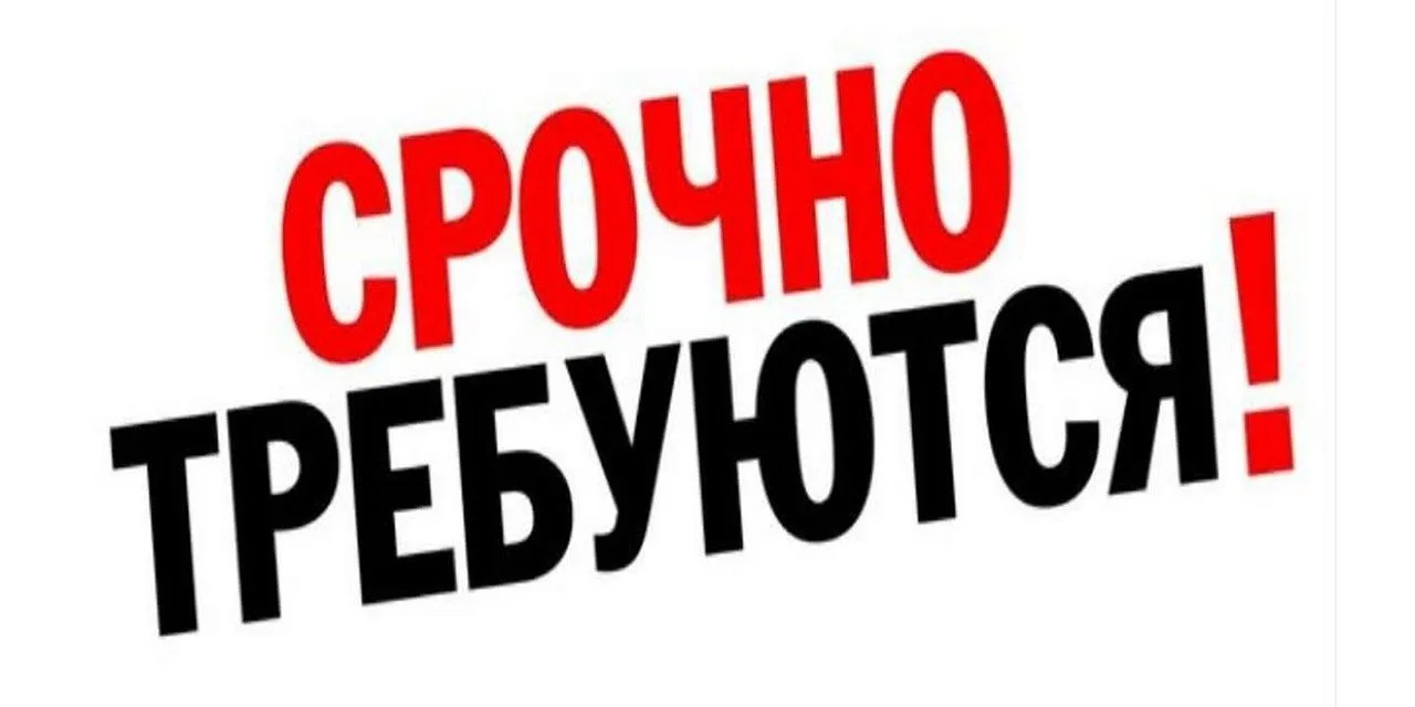 В Компанию "Пасифик Рим Констракторс" на краткосрочный период требуется машинист бульдозера :

Требо