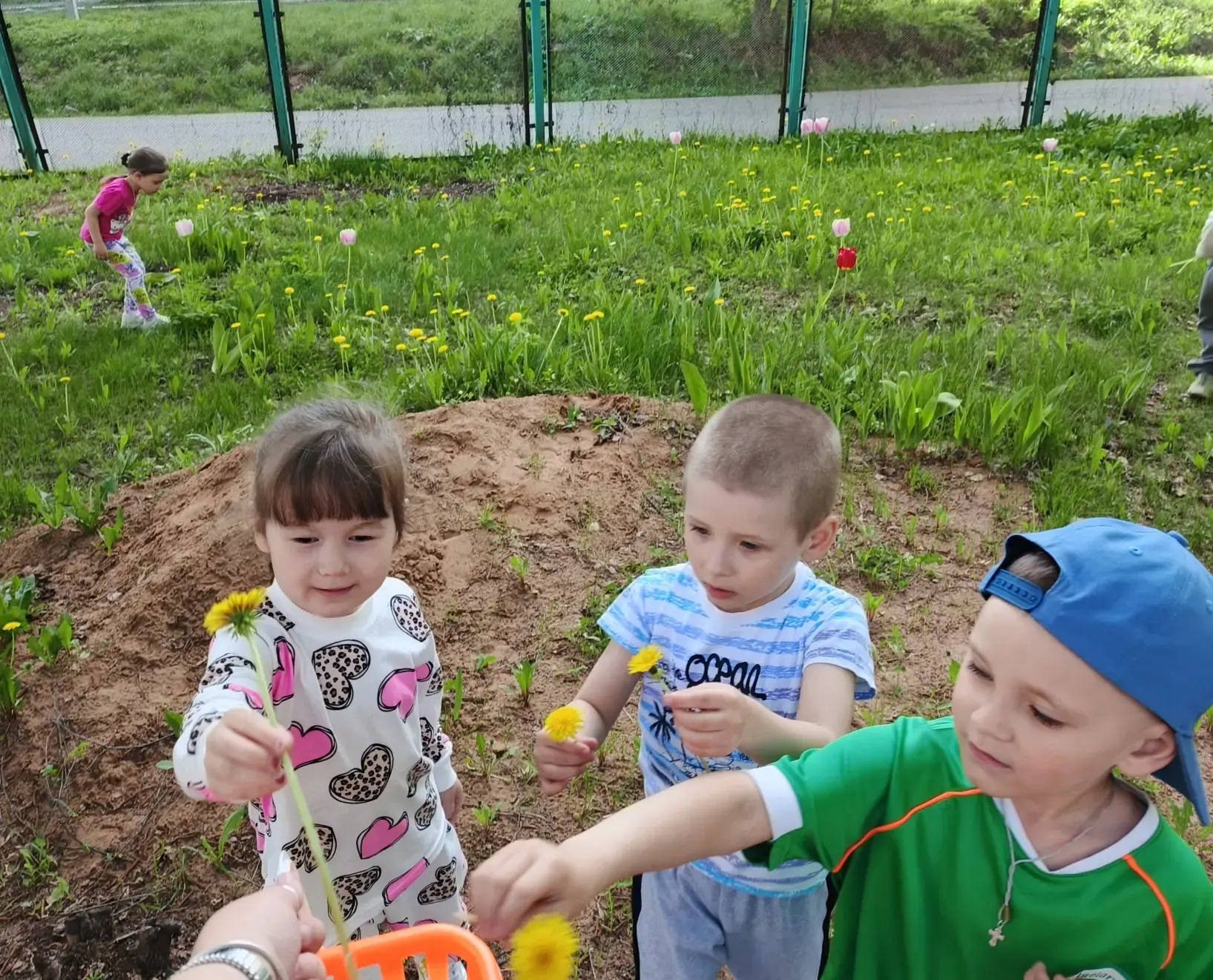🌼 День одуванчика — праздник, который мы не могли пропустить!

 Именно сегодня дети группы Рябинка 