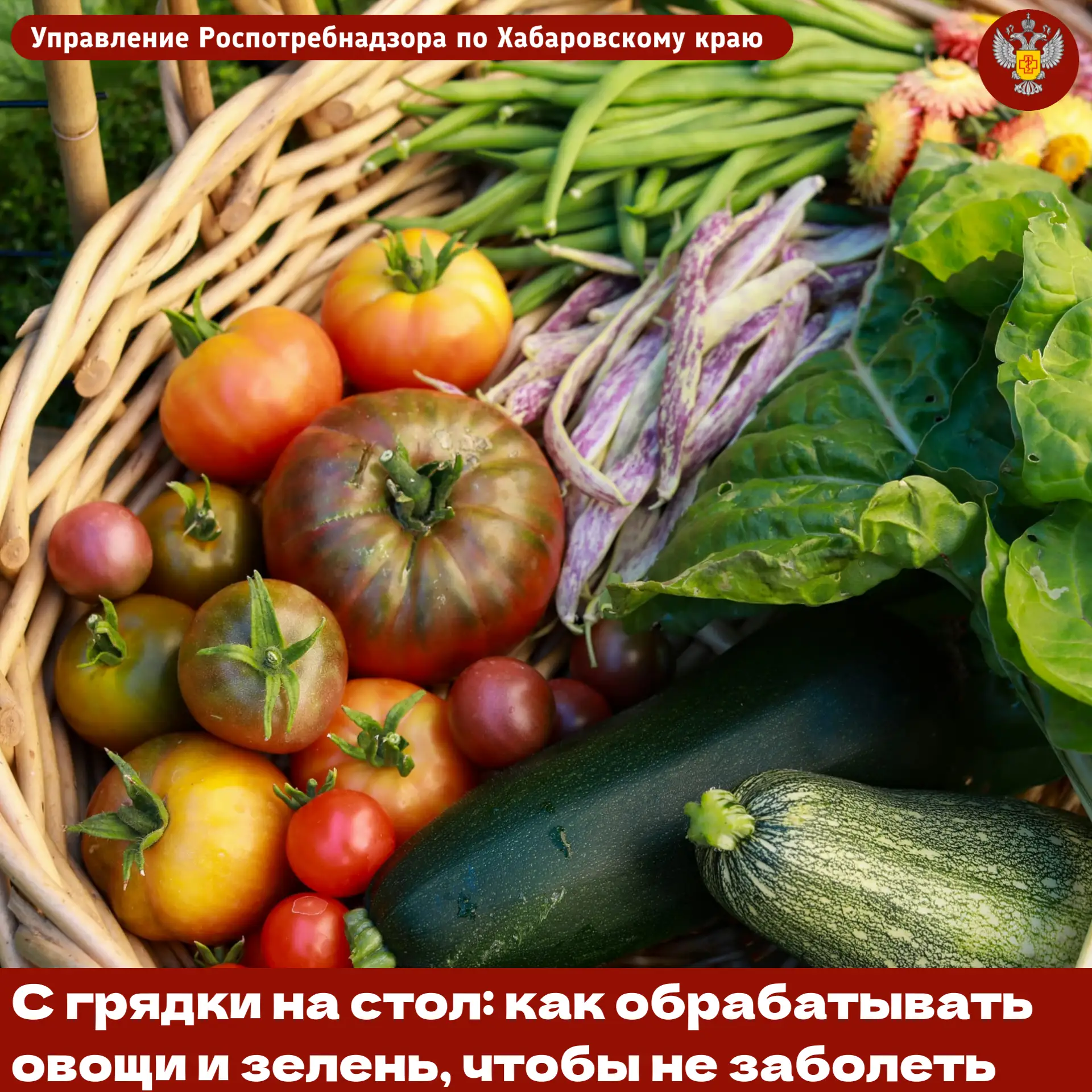 🥬 С грядки на стол: как обрабатывать овощи и зелень, чтобы не заболеть

☀️ Лето и начало осени – вр