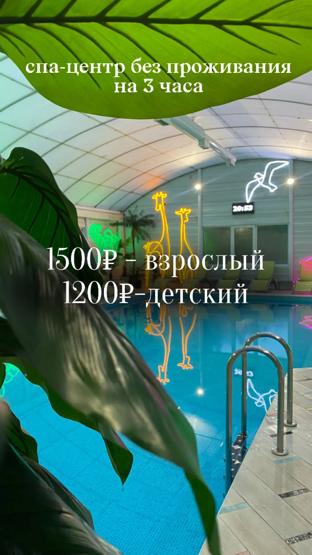 🌿 На улице — просто невероятная погода! Самое время наслаждаться теплом, загорать и ловить солнечны
