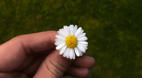 Люди добрые, да что ж это творится — позади уже первая декада лета! И это отличная точка, чтобы зафи