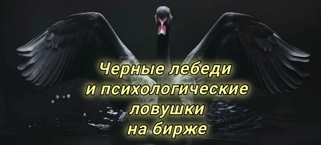 Добрый день друзья 🤝
✔️Новое видео на наших площадках 📺РУТУБ и 📺ЮТУБ
Тема: Черные лебеди не всегд
