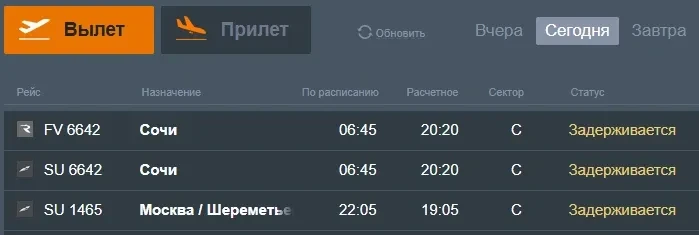 Пять рейсов не могут вылететь из Толмачево.

Больше чем на 12 часов задерживаются вылеты в Сочи и Мо
