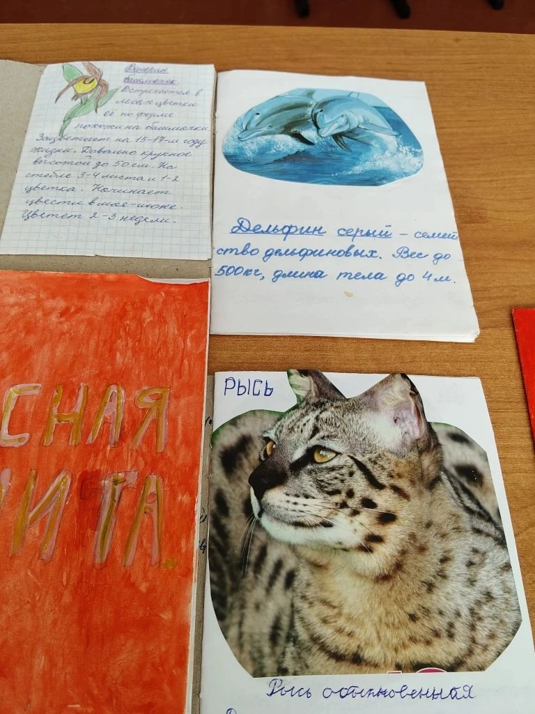 10 июня. Прошёл экологический десант " Наша Земля-зеленый дом".Провели конкурс рисунков " По страниц