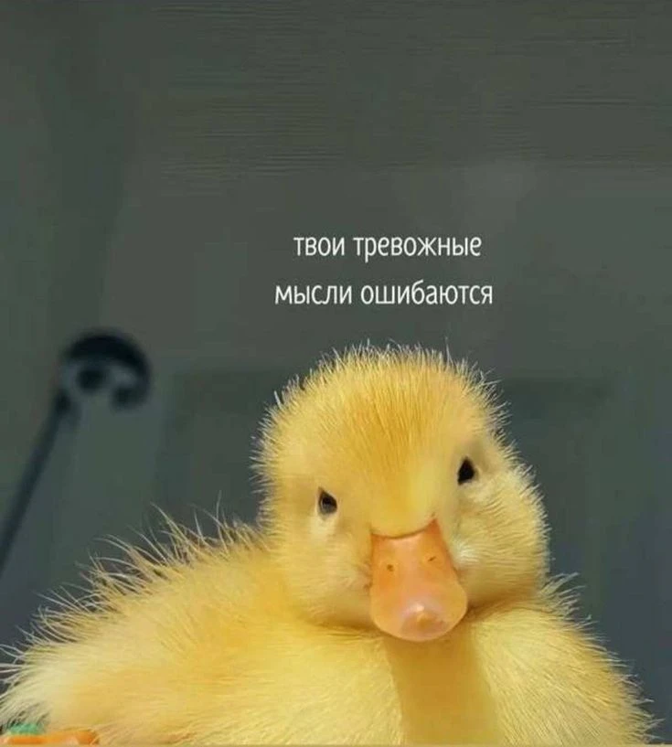 Малышка, хватит плакать 🥺

Ты всегда можешь высказаться, попросить совета и отдохнуть в моем канале