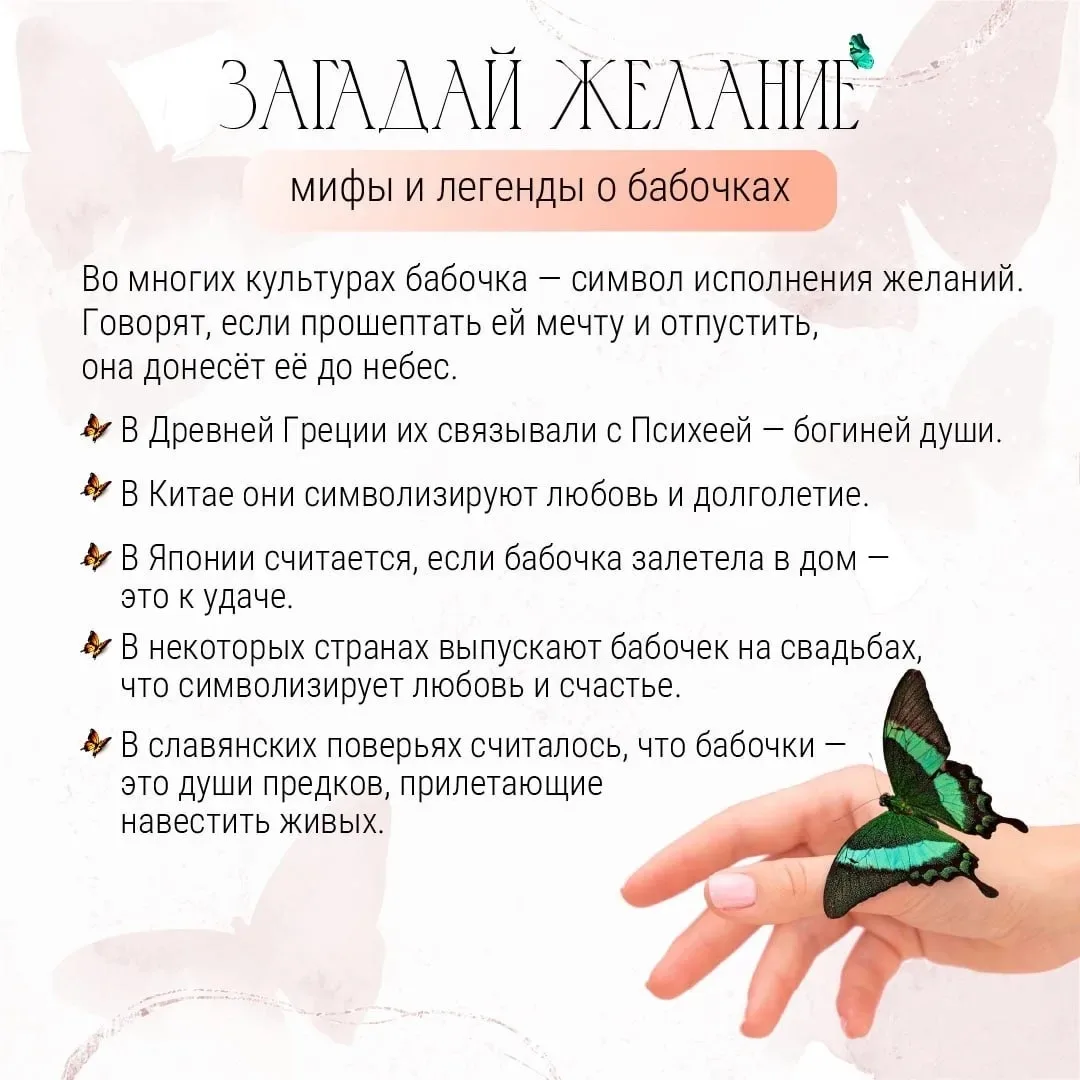 Так хочется уже наблюдать за этими прекрасными созданиями, созерцать их.
К сожалению погода оставляе