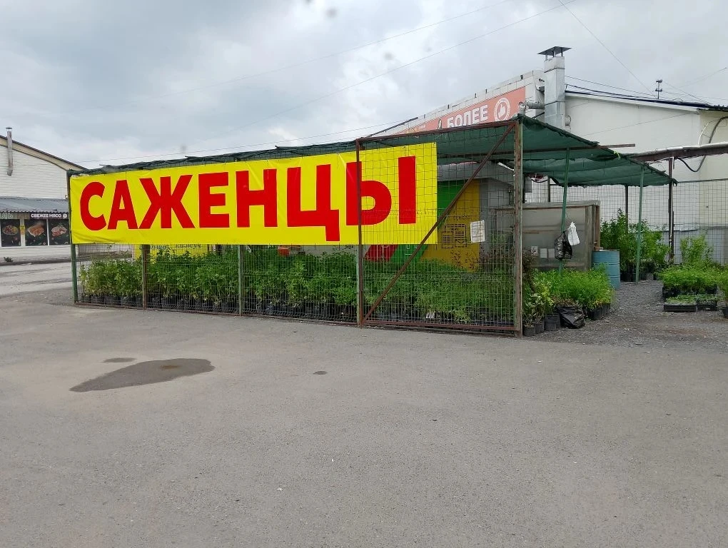 🍓На Кулагинском Томском областном рынке открылся павильон "Саженцы" с широким ассортиментом плодово