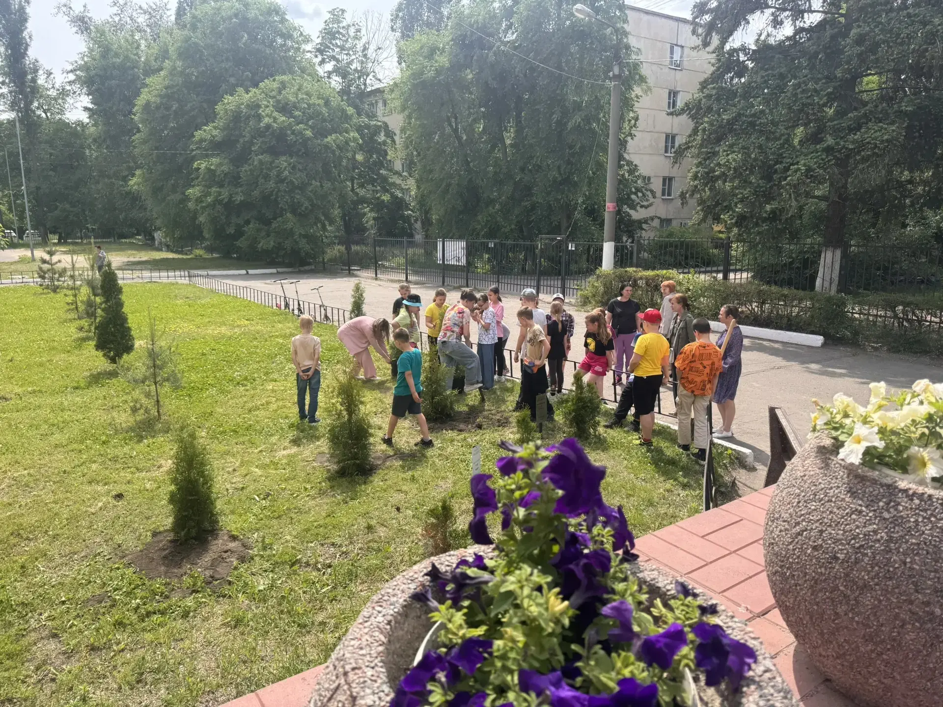 🌿 Маленькие шаги к большой экологии: ребята из лагеря «Радуга» внесли свой вклад в озеленение школы