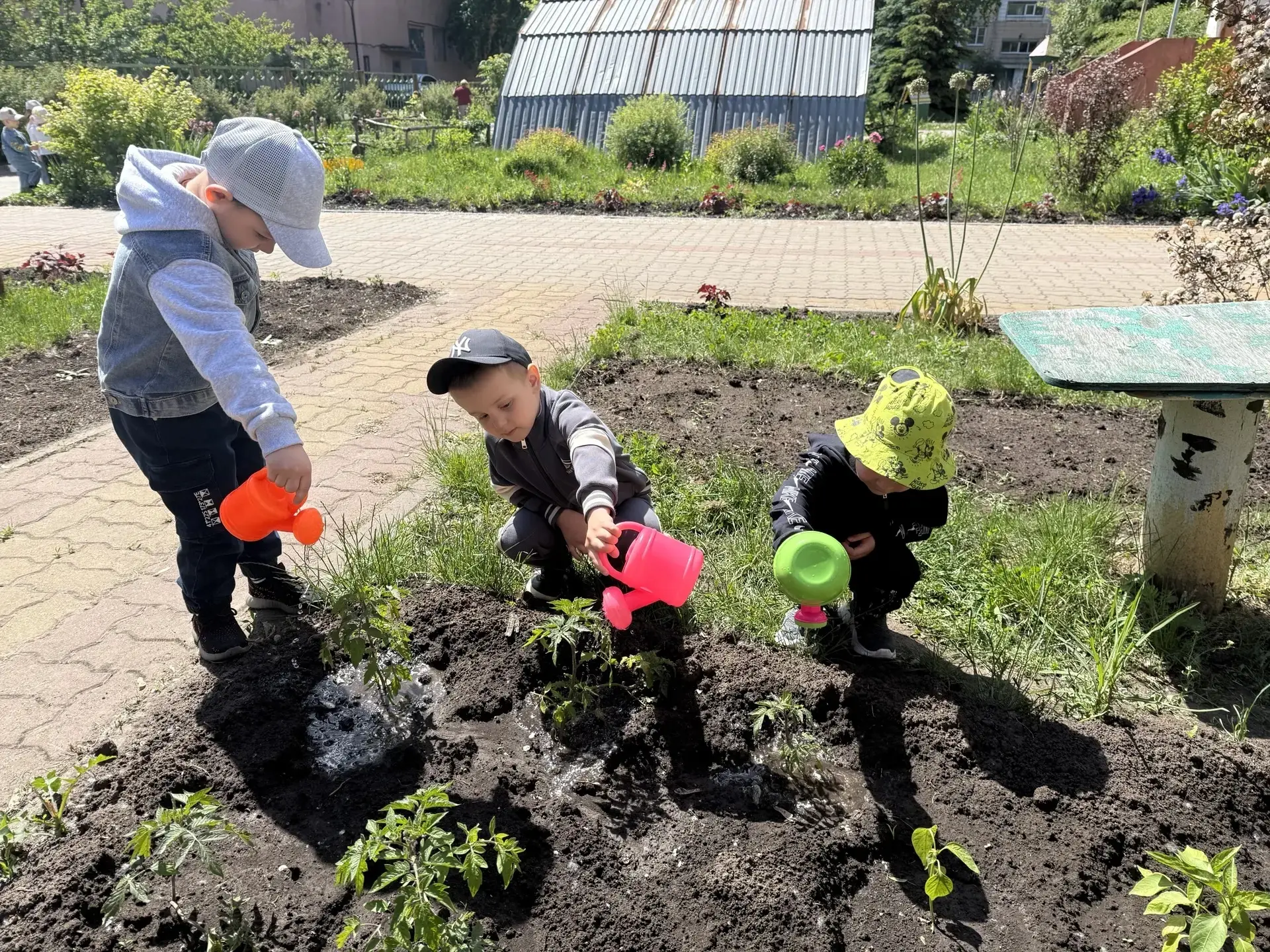 Работа в огороде детского сада - интересное и полезное занятие, которое помогает ребятам приобрести 
