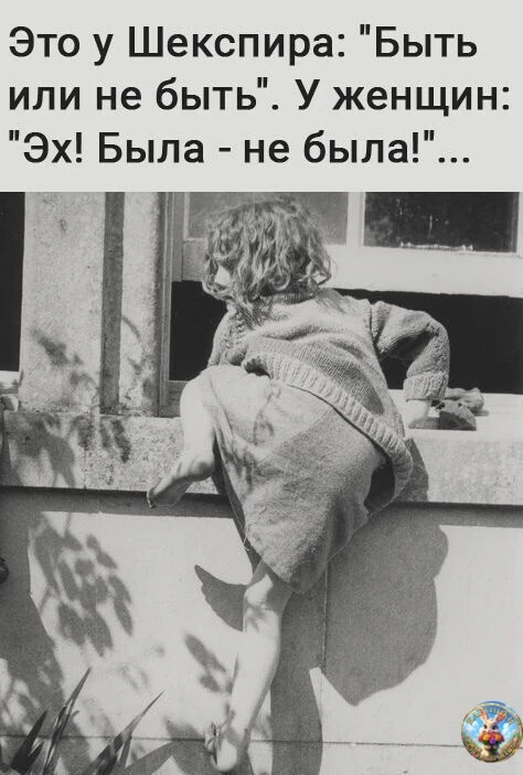 Картинки для настроения😊 | Юмор