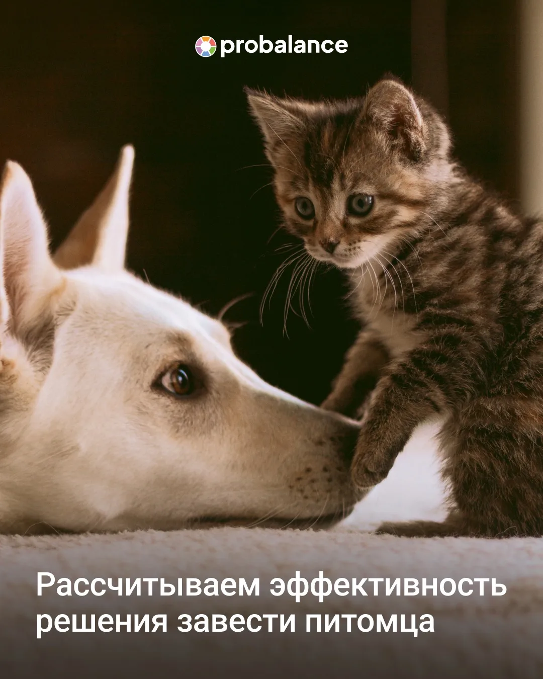Сегодня отмечают День эффективности 😉

Мы, люди, привыкли считать показатели, выполнять планы и дум