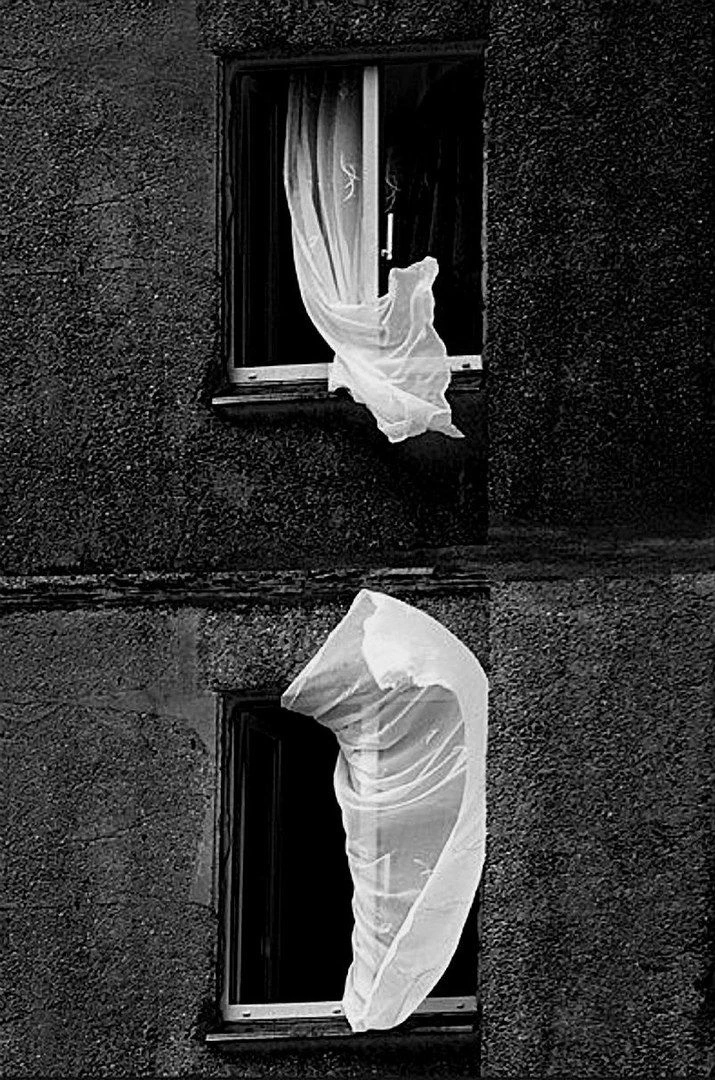 Photographer / Анна Пронина.

Чёрно-белая фотография