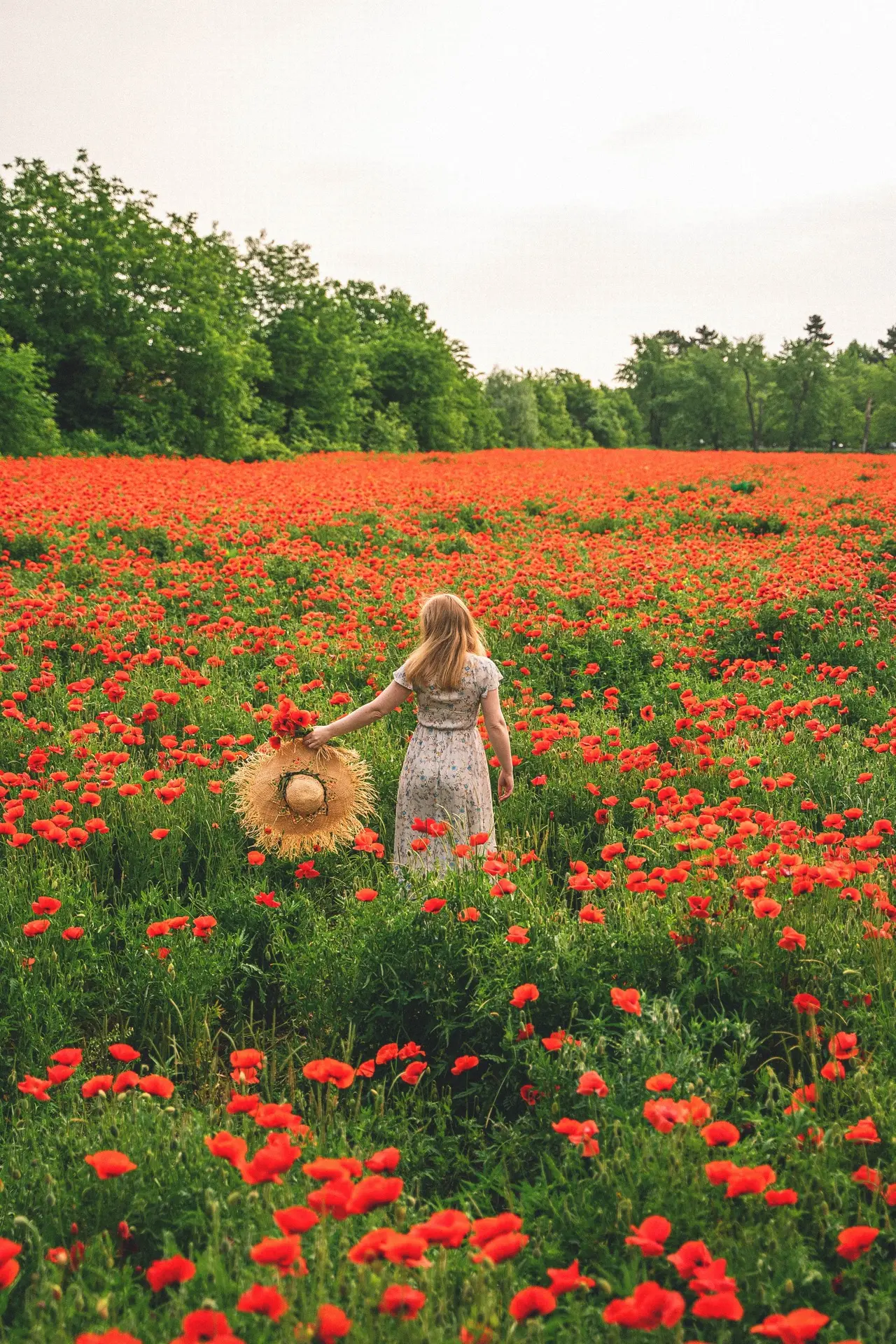 Маковое поле в Краснодаре ❤️
Даты: 28 мая, 1 июня, 2 июня.
Время: 18:00, 18:20, 18:40, 19:00, 19:20,