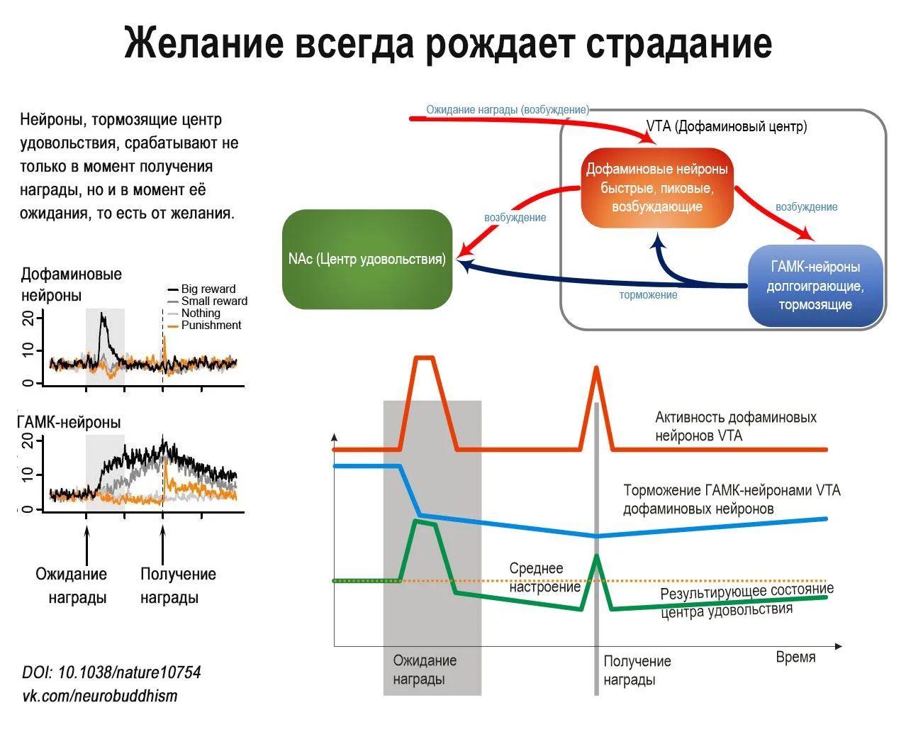 В качестве первого поста - основная нейронаучная база для понимания и прекращения страдания. 
На пос