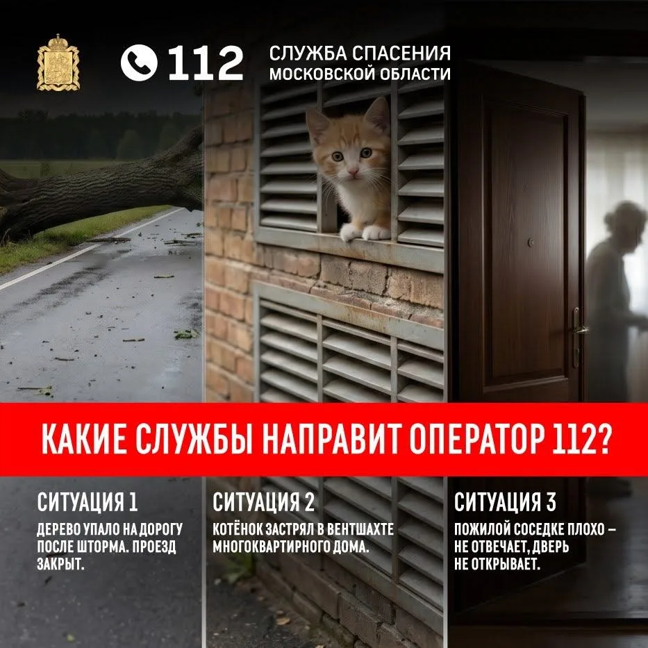 Один вызов — несколько служб. Проверим, знаете ли вы, как работает Система-112?  🎮

Проверьте себя 