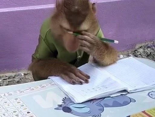 Ну что, как ваш русский язык? Делитесь результатами!