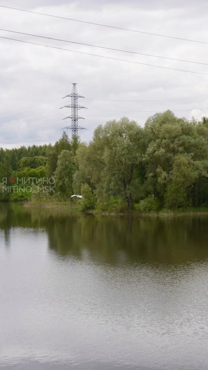 🌳Уголки Митинского парка

☂️Уютно при любой погоде

Спасибо, что присылаете ваши фото нам в бот
Я❤️